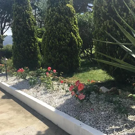 Villa Petrov Guest house